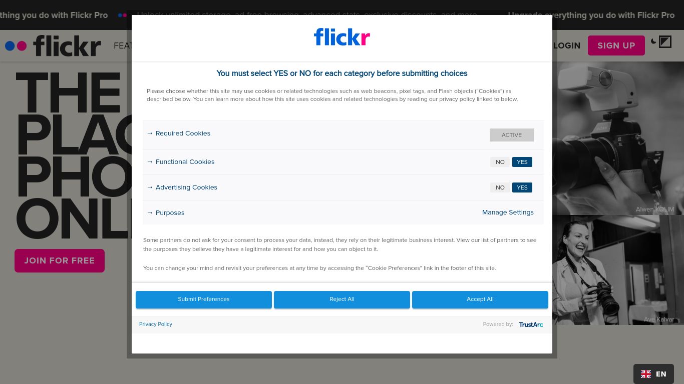 flickr.com website homepage - live status check by WebsiteDown.xyz