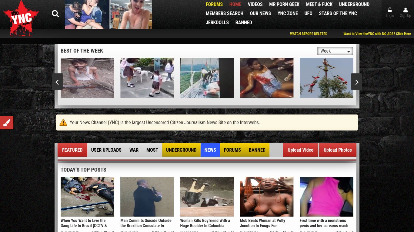 theync.com website homepage - live status check by WebsiteDown.xyz