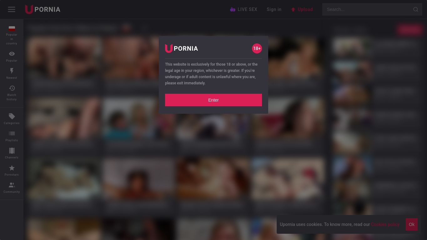 upornia.com website homepage - live status check by WebsiteDown.xyz